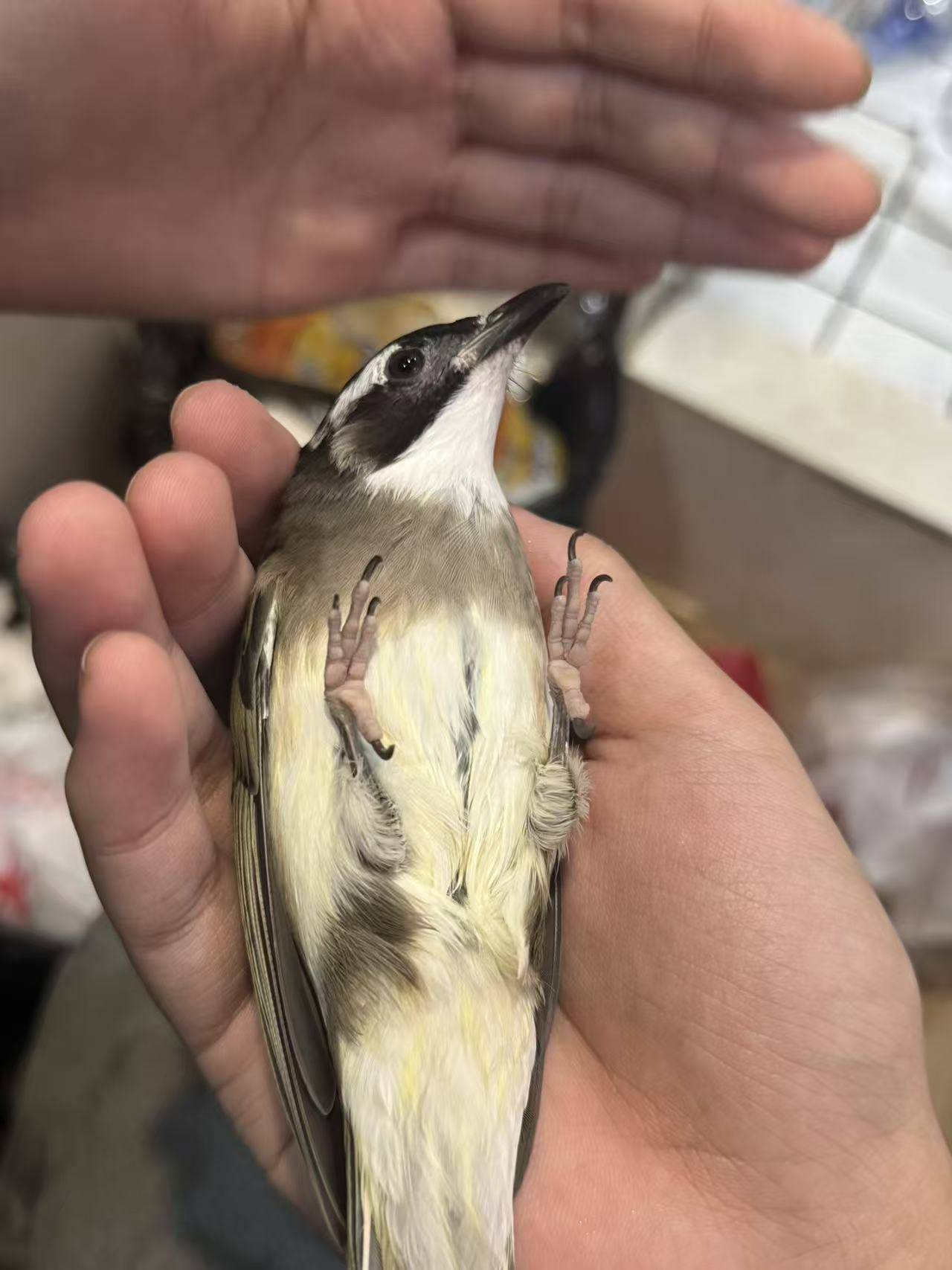 859a461be25e26a98c64b4adc4618496