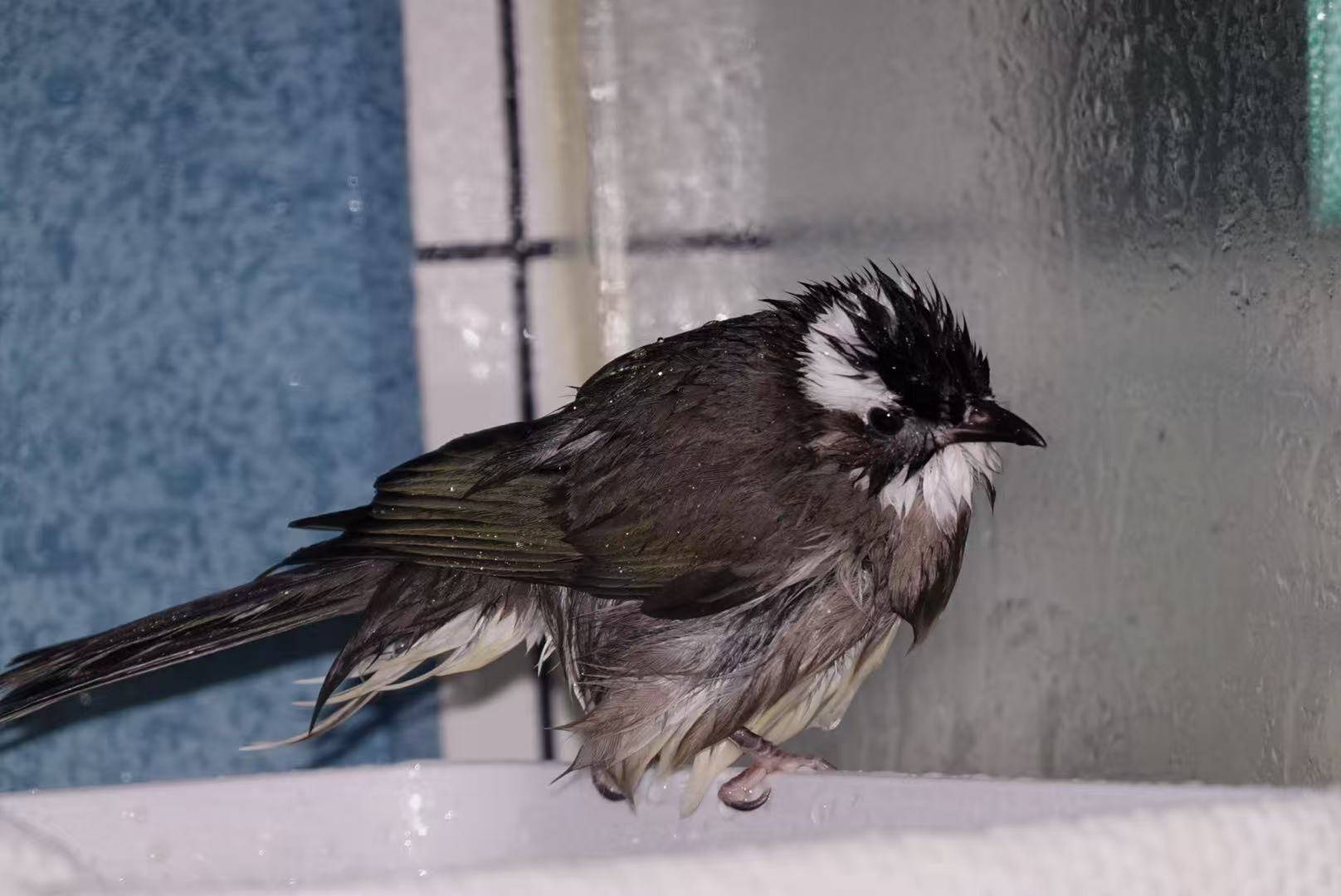 5f785eae427d0570d644cf9b5531e848